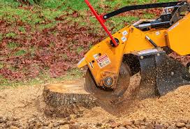 Leaf Removal in Marion, IL