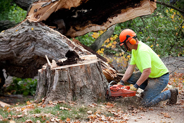 Mulching Services in Marion, IL